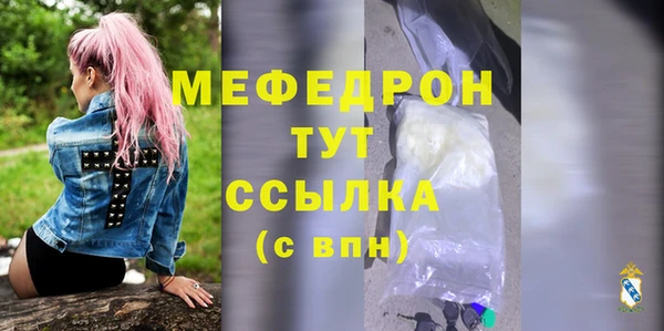 молекула духа Богородицк